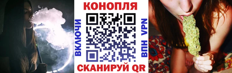 Бошки марихуана Bruce Banner  Моршанск 